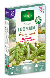 Pois Douce Provence - 20 m